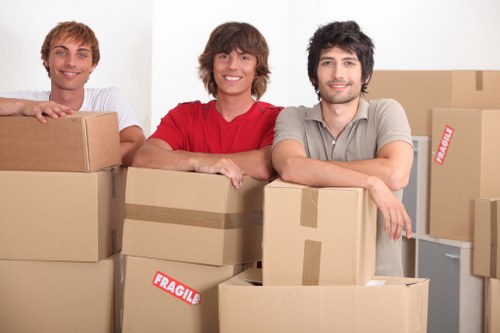 Careful removals support for apartment moves in Docklands